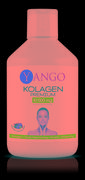 Suplementy naturalne - YANGO Yango Kolagen Premium 10 000 Mg 500 Ml YA143 - miniaturka - grafika 1