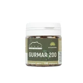 Suplementy naturalne - NANGA Gurmar kapsułki 200mg -100szt 23245893 - miniaturka - grafika 1