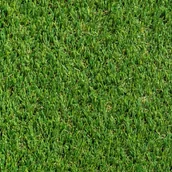 Trawy i trawniki - Sztuczna Trawa Highland - miniaturka - grafika 1