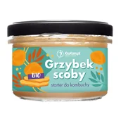 Zdrowa żywność - Grzybek scoby starter do kombuchy 150 g - miniaturka - grafika 1