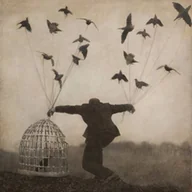 Winyle - 2 (The Gloaming) (Vinyl / 12" Album) - miniaturka - grafika 1