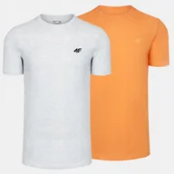 Koszulki męskie - T-SHIRT MĘSKI 4F KOSZULKA BAWEŁNIANA SPORTOWA BASIC ZESTAW 2SZT KOMPLET - miniaturka - grafika 1