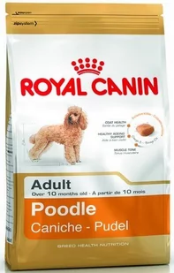 Royal Canin Poodle Adult 1,5 kg - Sucha karma dla psów - miniaturka - grafika 4