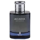 Wody i perfumy męskie - EMIR Acadia Intenso EDP 100ml - miniaturka - grafika 1