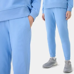 Spodnie Damskie Dresowe 4f Xl Joggery Ttrof1138 Ss25 - Spodnie damskie - miniaturka - grafika 1