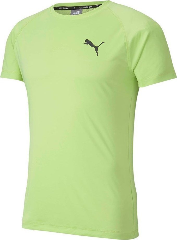 Puma Koszulka męska Puma Rtg Tee Sharp zielona 581504 34 S - 74923-3