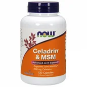 Suplementy naturalne - Now Foods Celadrin 500 mg i MSM 100 mg (120 kaps.) - miniaturka - grafika 1