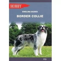 Egros Border Collie (wyd. 2020) Ewelina Budek - Poradniki hobbystyczne - miniaturka - grafika 1