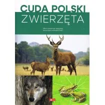 Cuda Polski zwierzęta wyd. 2024 - Albumy krajoznawcze - miniaturka - grafika 1
