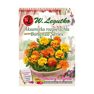 Legutko Aksamitka rozpierzchła BONANZA SERIES - Nasiona i cebule - miniaturka - grafika 1