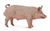 Figurki dla dzieci - Collecta Knur - miniaturka - grafika 1