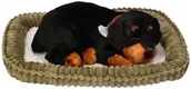 Maskotki i pluszaki - Perfect Petzzz Oddychający Szczeniaczek Rottweiler - miniaturka - grafika 1
