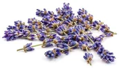 Akcesoria jeździeckie - EQUIHERBS Lawenda kwiat 1 kg - - miniaturka - grafika 1