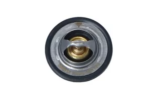 Termostat, płyn chłodzący NRF 725089 - Termostaty - miniaturka - grafika 1
