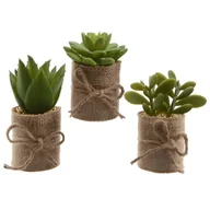 Sztuczne kwiaty - Sztuczna roślinka zielona w doniczce jutowej 12cm - miniaturka - grafika 1