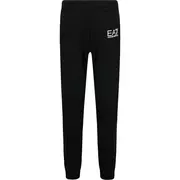 EA7 Spodnie dresowe | Regular Fit