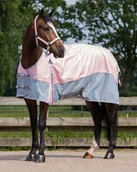 Derki dla konia - Derka padokowa 0g 600D SS22 - QHP - miniaturka - grafika 1