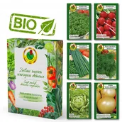 Nasiona i cebule - ZESTAW NASION ZESTAW PNOS CEBULA RZEŻUCHA SZCZYPIOREK KOPER 6 Opakowań - miniaturka - grafika 1