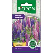 Nasiona i cebule - Łubin trwały mieszanka 2 g BIOPON - miniaturka - grafika 1