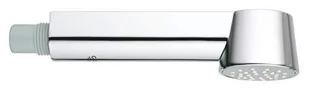 GROHE 64158000 pull out spray - Pisuary - miniaturka - grafika 1