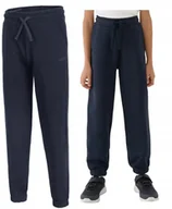 Dresy męskie - 4F OCIEPLANE DZIEWCZÄCE SPODNIE DRESOWE BAWEĹNA / rozm 146 - miniaturka - grafika 1