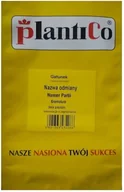 Nasiona i cebule - Ogórek gruntowy Starter F1 250 g Plantico POLAN - miniaturka - grafika 1