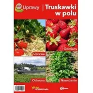 Rośliny i zwierzęta - Hortpress ABC uprawy. Truskawki w polu - miniaturka - grafika 1