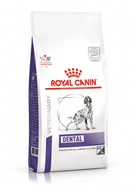 Sucha karma dla psów - Royal Canin Dental Medium/Large Dog 13 kg - miniaturka - grafika 1