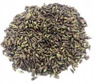 Przyprawy i zioła sypkie - BRZOZA PĄCZKI BRZOZY GEMMOTERAPIA 50 G NATURALNY - miniaturka - grafika 1