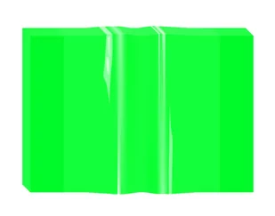 Biurfol Okładka zeszytowa A4 Neon OZN-A4-03 zielona - Szkolne artykuły papiernicze - miniaturka - grafika 1