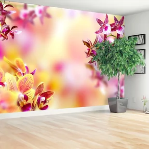 Fototapeta Orchidea Różowy - Fototapety - miniaturka - grafika 1