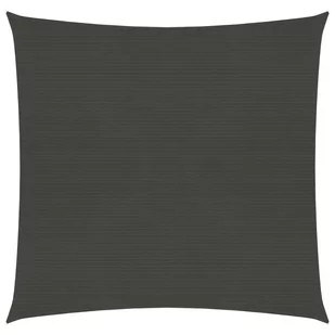 vidaXL Żagiel przeciwsłoneczny, 160 g/m, antracytowy, 3x3 m, HDPE vidaXL - Parasole ogrodowe - miniaturka - grafika 1