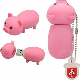 Pendrive Dr. Memory 8 GB - Pendrive - miniaturka - grafika 1