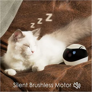 Enabot EBO AIR Robot IP Camera MP, 16GB pamięci zewnętrznej, obsługa maksymalnie 256GB, Biały - Kamery do monitoringu Enabot EBO AIR Robot IP Camera MP, 16GB pamięci zewnętrznej, obsługa maksymalnie 256GB, Biały - Kamery do monitoringu - miniaturka - grafika 4