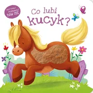 Powieści i opowiadania - Co lubi kucyk? - miniaturka - grafika 1