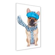 Obrazy i zdjęcia na płótnie - Obraz zdjęcie szkło akryl pionowy Chory pies - miniaturka - grafika 1