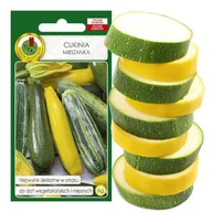 Nasiona i cebule - Cukinia Mieszanka Różnych Odmian Nasiona Bez Gmo - miniaturka - grafika 1
