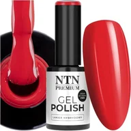Lakiery hybrydowe - Lakier Hybrydowy Ntn 5g Led/uv Gel Polish Splash Czerwony Red Heart Nr126 - miniaturka - grafika 1