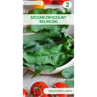 Nasiona i cebule - Szczaw zwyczajny Belwilski Rumex acetosa nasiona warzyw W.Legutko - miniaturka - grafika 1