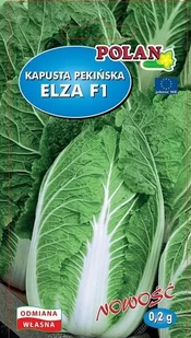 Kapusta pekińska Elza F1 0.2 g POLAN - Nasiona i cebule - miniaturka - grafika 1