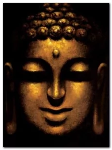 Mahayana Buddha plakat obraz 60x80cm - Plakaty - miniaturka - grafika 1