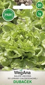 Nasiona i cebule - Sałata Dubacek 1g nasiona - WegAna - miniaturka - grafika 1