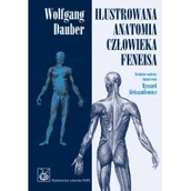 Zdrowie - poradniki - Ilustrowana anatomia człowieka Feneisa - Dauber Wolfgang - miniaturka - grafika 1