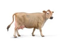 Pozostałe książki - Jersey Cow Krowa - miniaturka - grafika 1