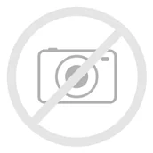 Adaptery i przejściówki - Dell Adapter USB C to HDMI/DP with Power - miniaturka - grafika 1