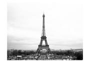 Fototapety - Artgeist Fototapeta na flizelinie na ścianę HD - Paryż: czarno-biała fotografia 350x270 - miniaturka - grafika 1