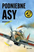 Militaria i wojskowość - Podniebne asy - Bohdan Arct - miniaturka - grafika 1