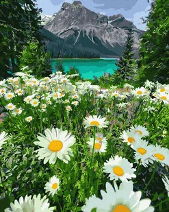 Twoje Hobby Malowanie po numerach - Rumianki w górach 40x50 cm - Twoje Hobby - Malowanie po numerach - miniaturka - grafika 2