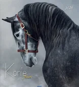 Kalendarze - Kalendarz 2026 ścienny 32x32cm Konie - kalendarz - miniaturka - grafika 1