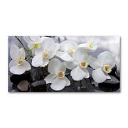 Obrazy i zdjęcia na płótnie - Foto obraz szkło hartowane Orchidea - miniaturka - grafika 1